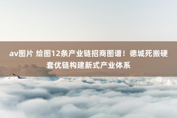 av图片 绘图12条产业链招商图谱！德城死搬硬套优链构建新式产业体系