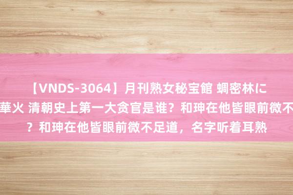 【VNDS-3064】月刊熟女秘宝館 蜩密林に濡れて淫らに踊る雌華火 清朝史上第一大贪官是谁？和珅在他皆眼前微不足道，名字听着耳熟