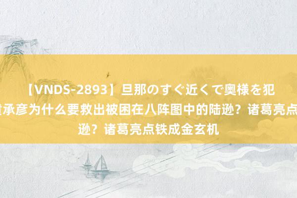 【VNDS-2893】旦那のすぐ近くで奥様を犯します。 黄承彦为什么要救出被困在八阵图中的陆逊？诸葛亮点铁成金玄机