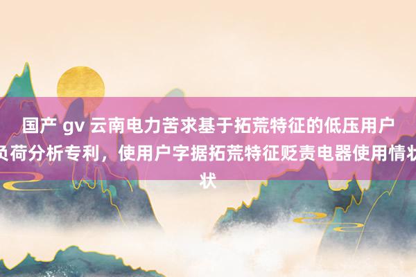 国产 gv 云南电力苦求基于拓荒特征的低压用户负荷分析专利，使用户字据拓荒特征贬责电器使用情状