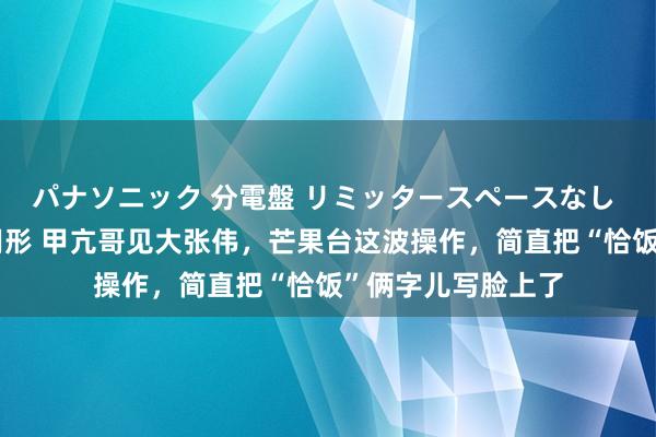 パナソニック 分電盤 リミッタースペースなし 露出・半埋込両用形 甲亢哥见大张伟，芒果台这波操作，简直把“恰饭”俩字儿写脸上了