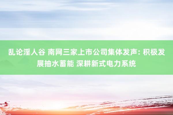 乱论淫人谷 南网三家上市公司集体发声: 积极发展抽水蓄能 深耕新式电力系统