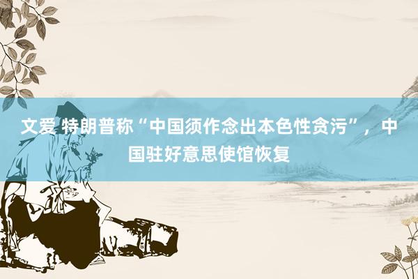 文爱 特朗普称“中国须作念出本色性贪污”，中国驻好意思使馆恢复