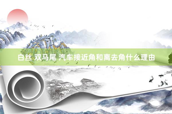 白丝 双马尾 汽车接近角和离去角什么理由